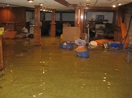 Flooded Basement