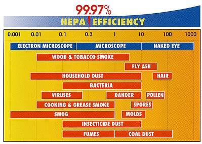 Mold in basement