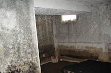 Residential Mold Assessment