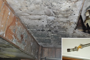 Residential Mold Assessment