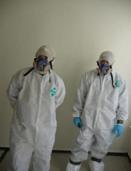 Mold Removal Technicians