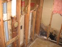 Mold inside walls