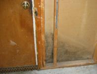 Mold inside walls